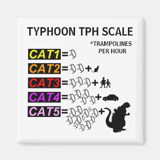 Aimant de réfrigérateur à échelle TPH Typhoon