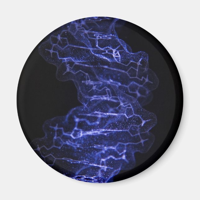 Aimant de réfrigérateur ADN double hélix (Devant)