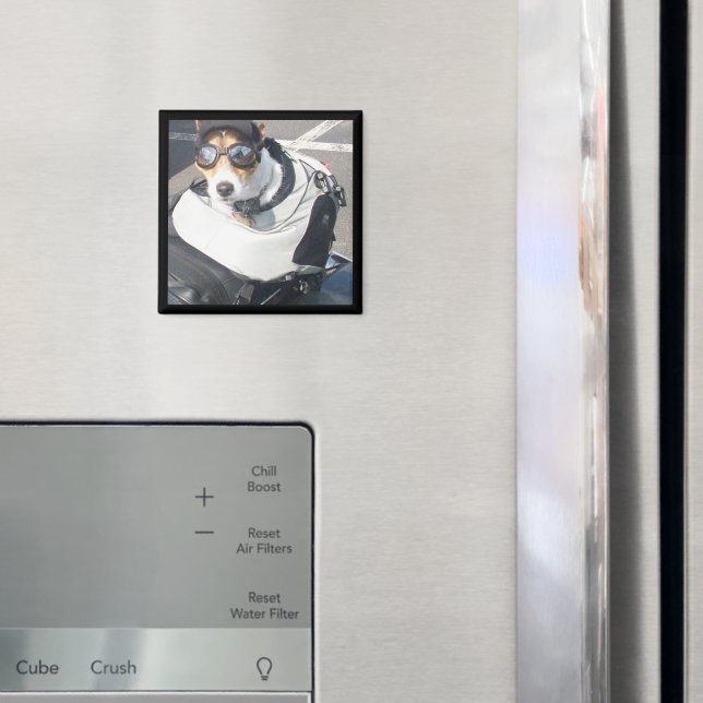 Aimant de réfrigérateur de chien porc (In situ (réfrigérateur))