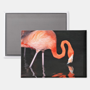 Aimant de réfrigérateur Flamant rose