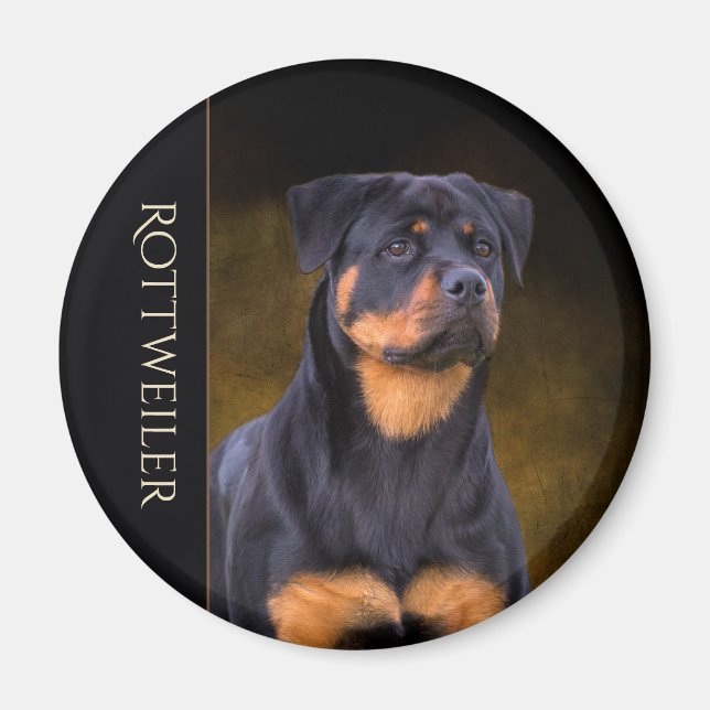 Aimant de réfrigérateur Rottweiler (Devant)