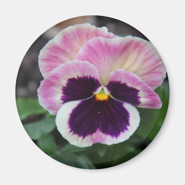 Aimant de réfrigération à pâte violet (Devant)