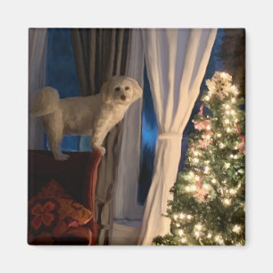 Aimant de réfrigération en attente des pattes Père