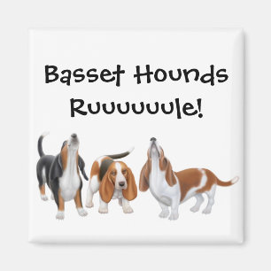 Aimant de règle de chiens de basset