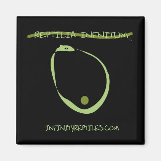 Aimant de reptiles d'infini