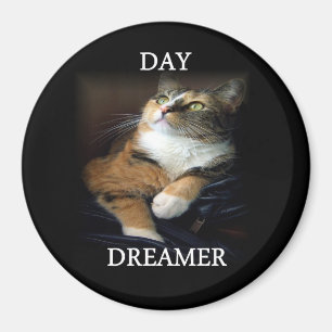 Aimant de rêveur de jour