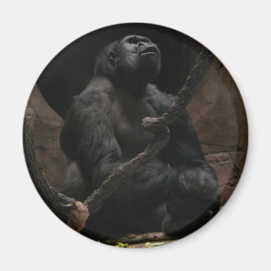 Aimant de /Round de gorille