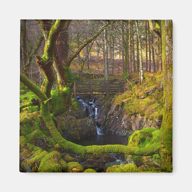 Aimant de scène de bois (Devant)