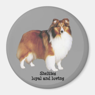 Aimant de Sheltie