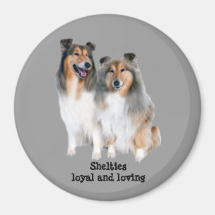 Aimant de Sheltie