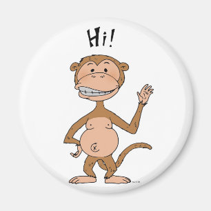 Aimant de singe