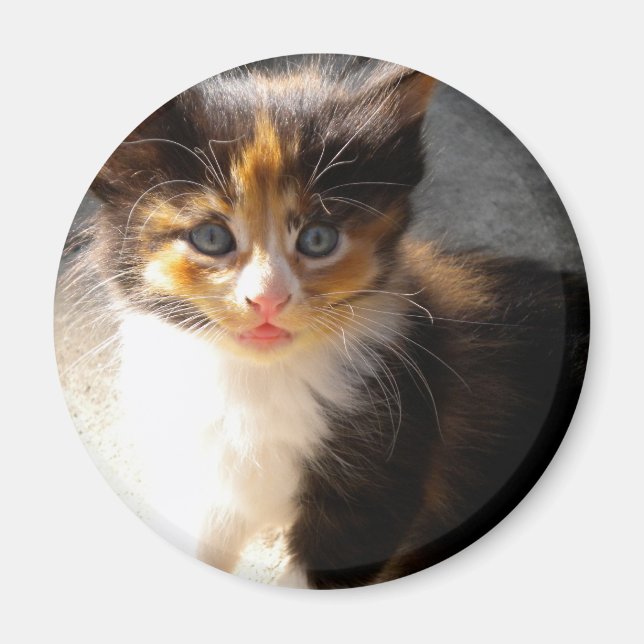 Aimant de skittles (Devant)