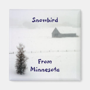 Aimant de Snowbird du Minnesota