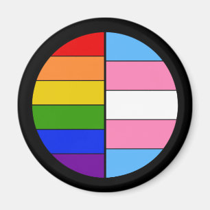 Aimant de solidarité de GLBT