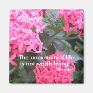 Aimant de soumission motivationnelle Socrates