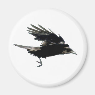 Aimant de survol du Corbeau noir