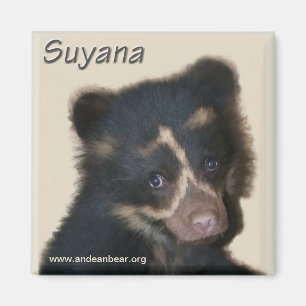 Aimant de Suyana