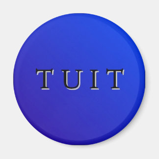 Aimant de teinte ronde bleue