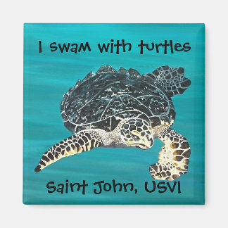 Aimant de tortue