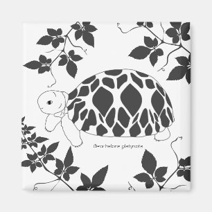 Aimant de tortue d'étoile de Birman de bébé