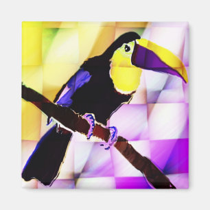 Aimant de toucan