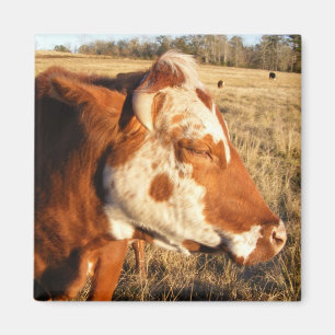 Aimant de vache : fantaisie