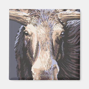 Aimant De VermontMoose fin