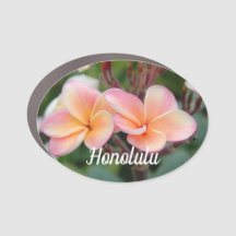 Aimant de voiture ovale Hawaii Honolulu