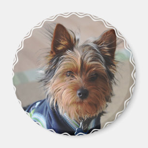 Aimant de Yorkie Terrier