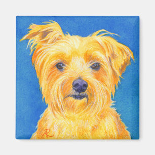 Aimant de Yorkshire Terrier - "Sammy "