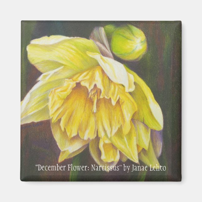 Aimant "Décembre Flower : Narcissus" de Janae Lehto (Devant)