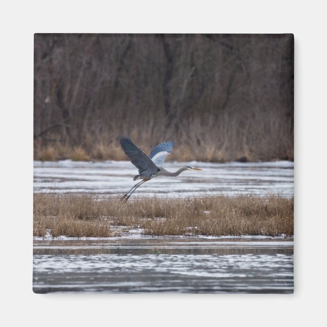 Aimant Décollage d'Heron (Devant)