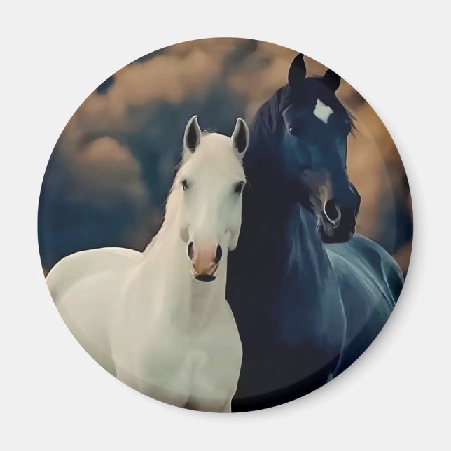 Aimant décoratif (Devant)