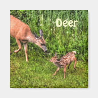 Aimant Deer Doe & Fawn Faune Animal Design