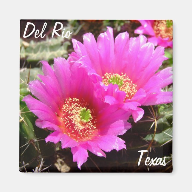 Aimant Del Rio Texas souvenirs fleur de cactus rose (Devant)