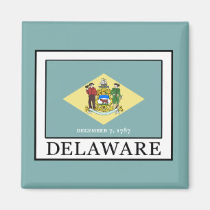 Aimant Delaware