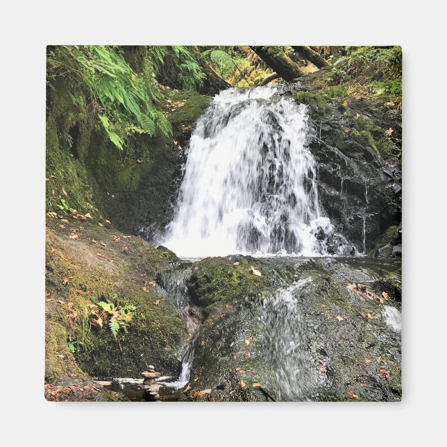 Aimant Dell Falls, Oregon (Devant)