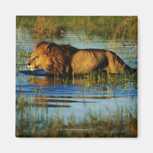 Aimant Delta de l'Okavango, Botswana 3