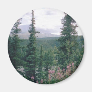 Aimant Denali - l'Alaska