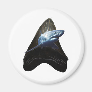 Aimant dent de requin