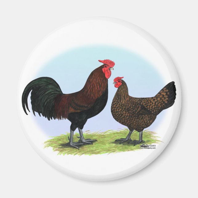 Aimant Derbyshire Redcap Fowl (Devant)
