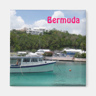 Aimant des Bermudes