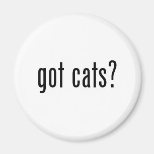 Aimant des chats ?
