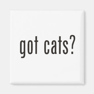 Aimant des chats ?