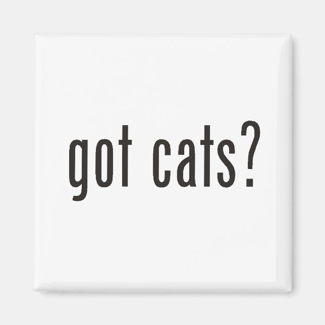 Aimant des chats ? (Devant)