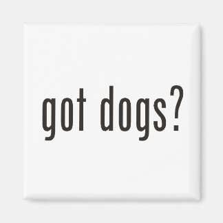 Aimant des chiens ?