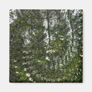 Aimant Des Dogwoods qui tournoient...