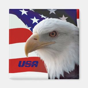 Aimant des Etats-Unis Eagle
