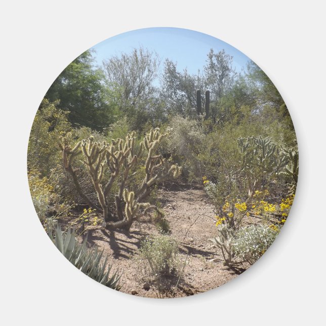 Aimant Désert (Devant)