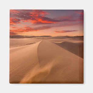 Aimant Deserts   Desert United Arab Emirates